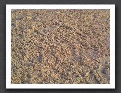 Sand Ripple Balls 2