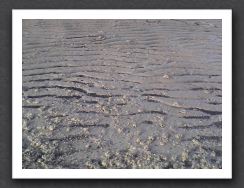 Sand ripples